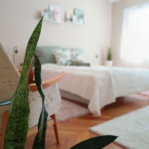 Palócliget Vendégház Kétbodony 