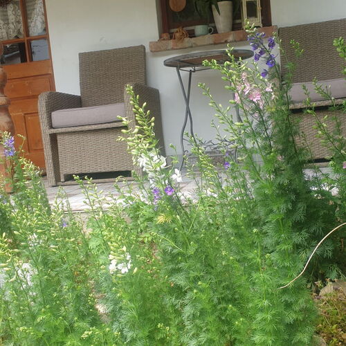 Tulipános Vendégház Óbánya 