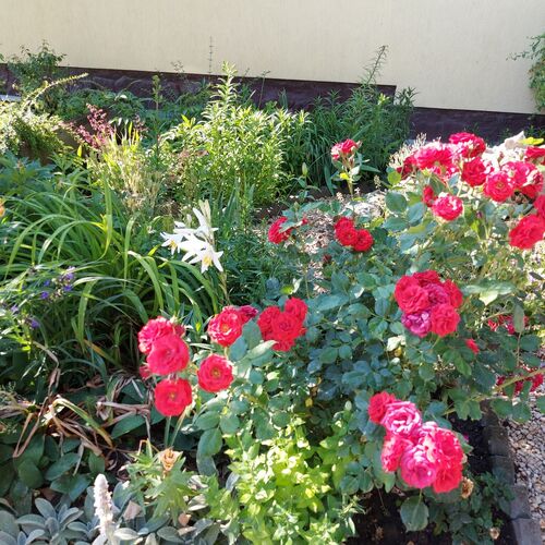 Tünde Lak Apartman Siófok 2 Tünde Lak Apartman Siófok