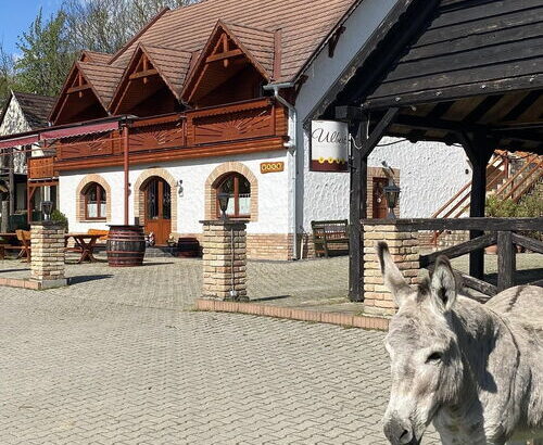 Ulbert Pince Panzió Szederkény 