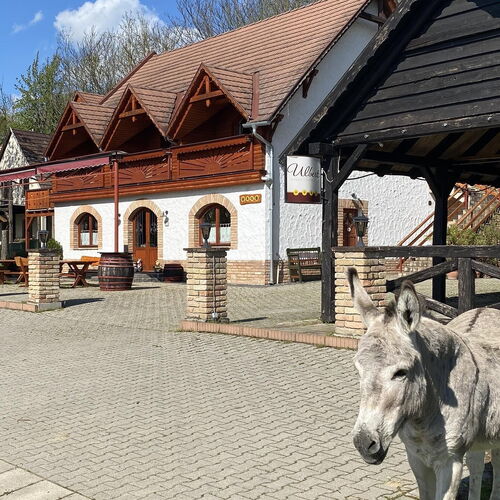 Napfény Vendégház Sarud 