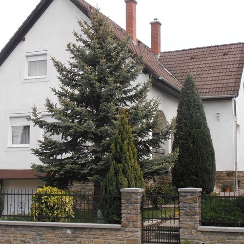 Ulrich Apartman Tihany 