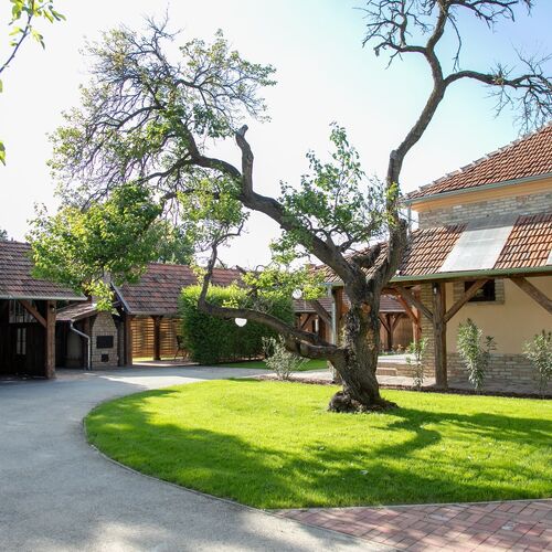 Vadvirág Apartman Gyula 