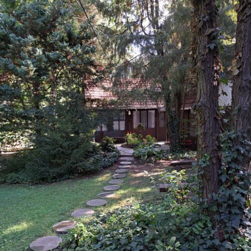 Vadvirág Vendégház Surány Pócsmegyer 