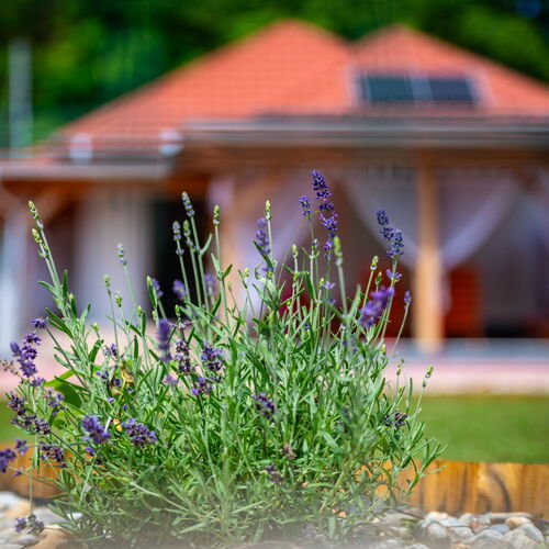 Vagabond Vendégház Valkonya 3 Vagabond Vendégház Valkonya