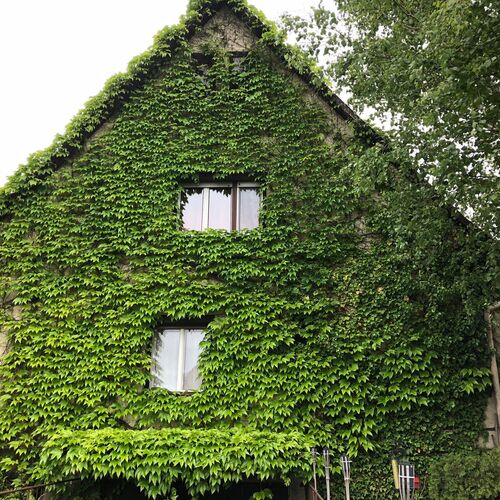 Sellő Apartman Dombóvár-Gunarasfürdő 