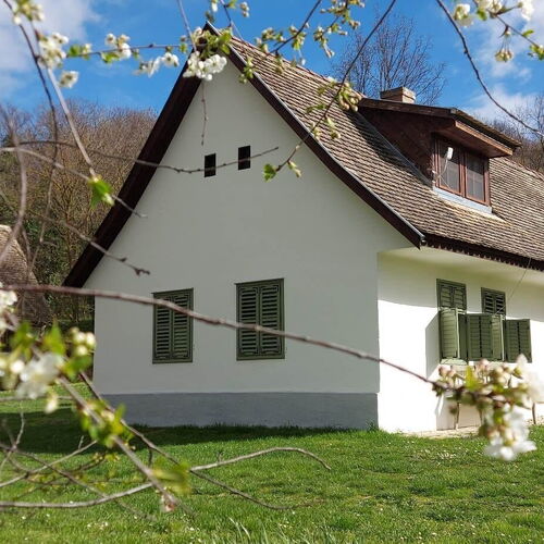 Vikli Vendégház Závod 