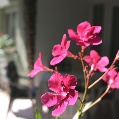 Anna Ikerház Balatonmáriafürdő 