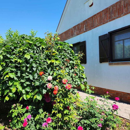 Vivien Vendégház 2 Berekfürdő 