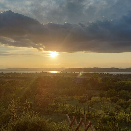 Víztükör Vendégház Zamárdi 3 Víztükör Vendégház Zamárdi