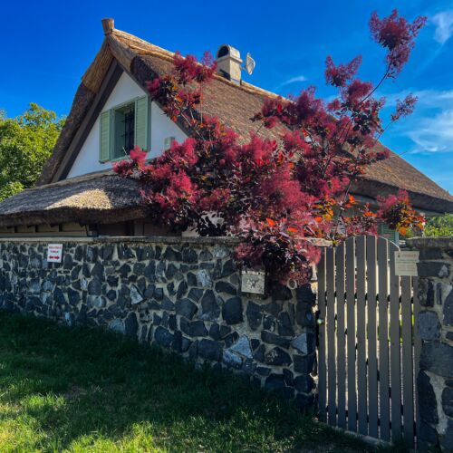 Zanzara Guesthouse Pákozd 