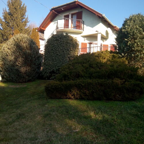 Zöld Oázis Vendégház Igal 