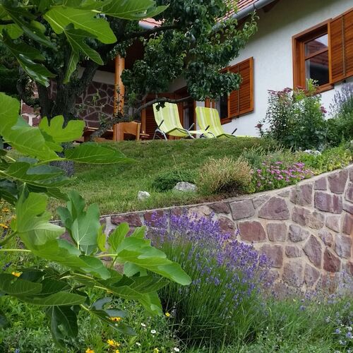 Kéknefelejcs Vendégház Tapolca-Diszel 