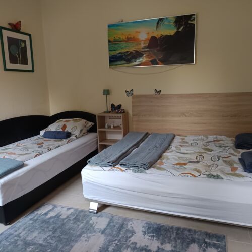 Zsóka Apartman Hajdúszoboszló 3 Zsóka Apartman Hajdúszoboszló