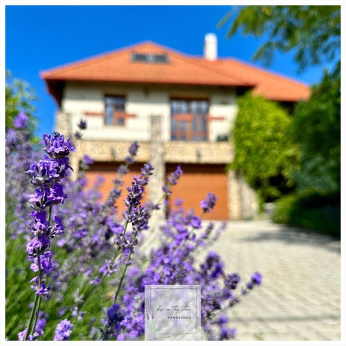 kiss on the stone Vendégház Csókakő 